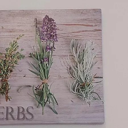 Apartamento Green Villa *